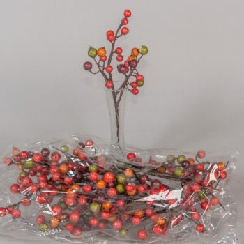 Bogyós ág -  két változatban