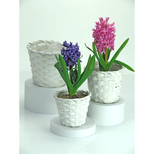 Bambusz kaspó - Több változatban