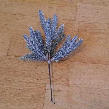 Ezüstös fenyő pick A