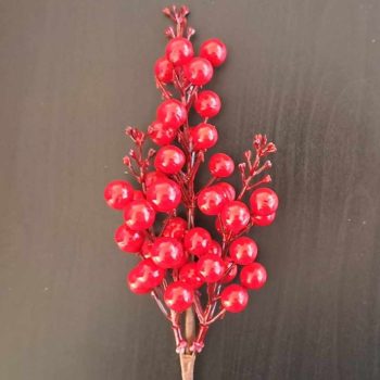 Piros bogyós vessző