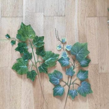 Leveles ág - két árnyalatban