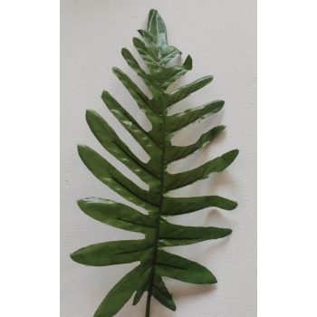 Páfrány levél - 20 cm