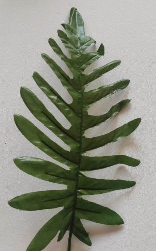 Páfrány levél - 20 cm