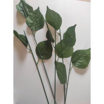 Hortenzia szár 2 levéllel