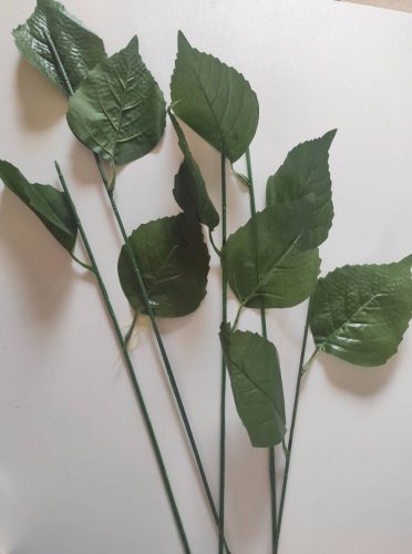 Hortenzia szár 2 levéllel