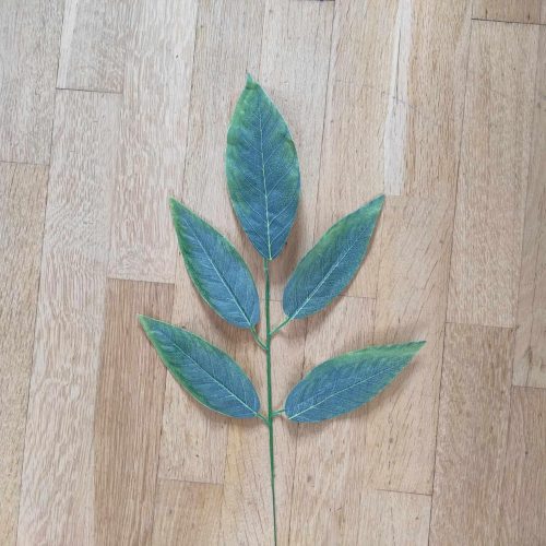 Leveles ág  - 56cm