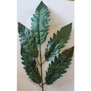 Cakkos leveles ág  - 58cm