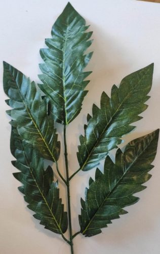 Cakkos leveles ág  - 58cm