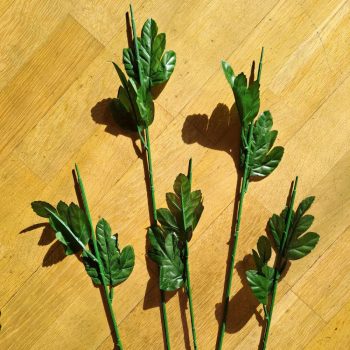 Krizantém szár 2 levéllel