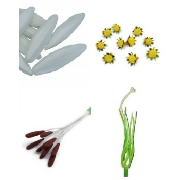 Virágközepek, bimbók